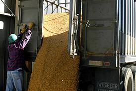 First-quarter corn shipments set new high