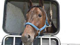 Lake County Fair prepares for open horse show
