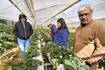 Hydroponic crop production workshop will be offered for home and commercial growers