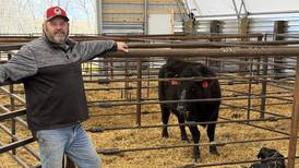 Ranchers hope Trump’s tariffs boost demand for cattle but some fear market uncertainty
