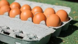 Food price inflation to remain high; impacts variable