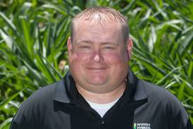 Back from the brink: Corn growers gear up for harvest