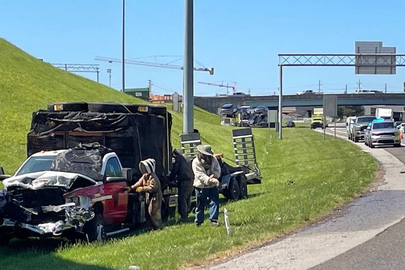 In this photo provided by the Tennessee Department of Transportation, beekeepers work to contain a swarm of bees that escaped from a crashed truck on Interstate 40 in Knoxville on April 17.