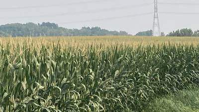 Indiana crop progress for week ending July 27