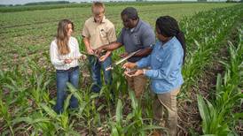 Conservation Cropping: Principles of sustainably intensified agriculture
