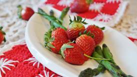 Chow Line: Spring is a good time to increase and diversify your fruit and vegetable intake