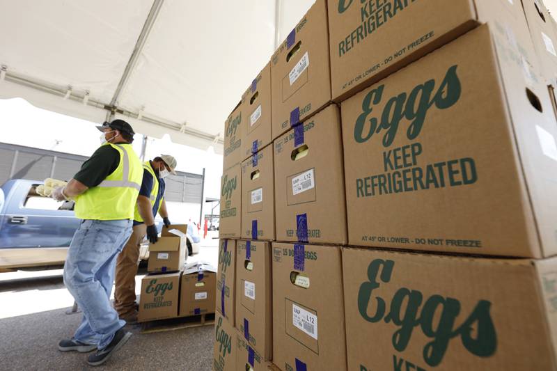Cases of eggs from Cal-Maine Foods Inc. wait to be handed out by Mississippi Department of Agriculture and Commerce employees at the Mississippi State Fairgrounds in Jackson, Mississippi. The largest producer of fresh eggs in the United States said April 2 that it has stopped production at a Texas plant after bird flu was found in chickens there. Cal-Maine Foods said in a statement that approximately 1.6 million laying hens and 337,000 pullets, about 3.6% of its total flock, were destroyed after the infection, avian influenza, was found at the facility in Parmer County, Texas.