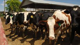 Expanded assistance for H5N1 dairy loss