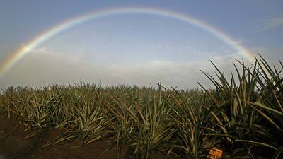Hawaii moves to broaden agricultural land activities