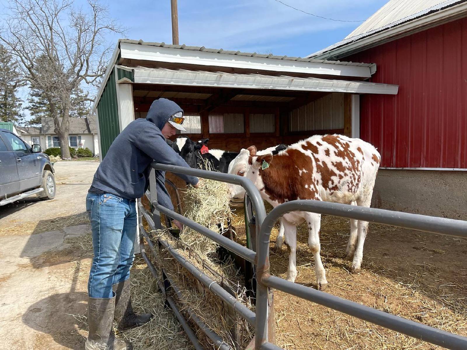 Star in Agricultural Placement finalists AgriNews