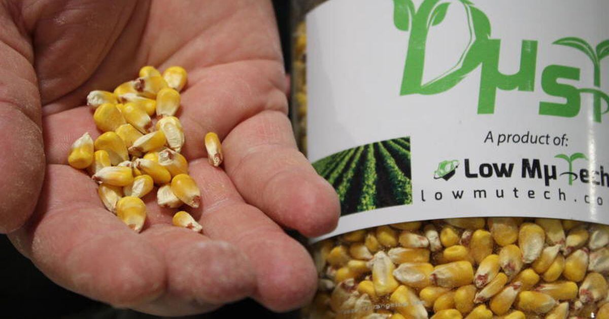 Dust treatment comes clean Seed lubricant provides farmers soy product