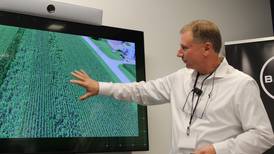 New Bayer products focus on corn rootworm control, short-stature corn