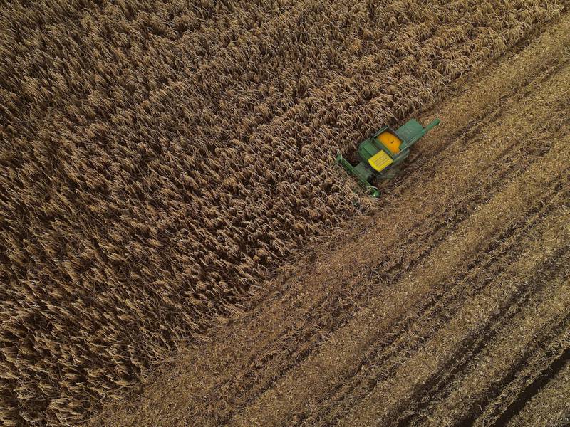 USDA boosts corn harvest from mid-year projection