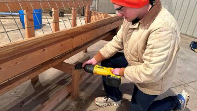 Indiana FFA member named finalist for Star in Agriscience award