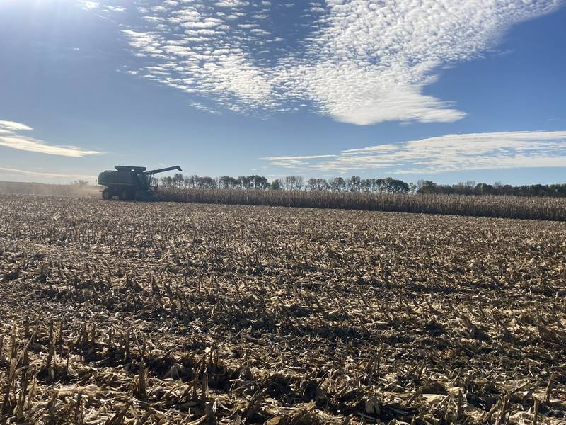 Yield maps can help farmers identify pinch points across their acres.