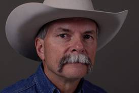 Has the beef market failed?