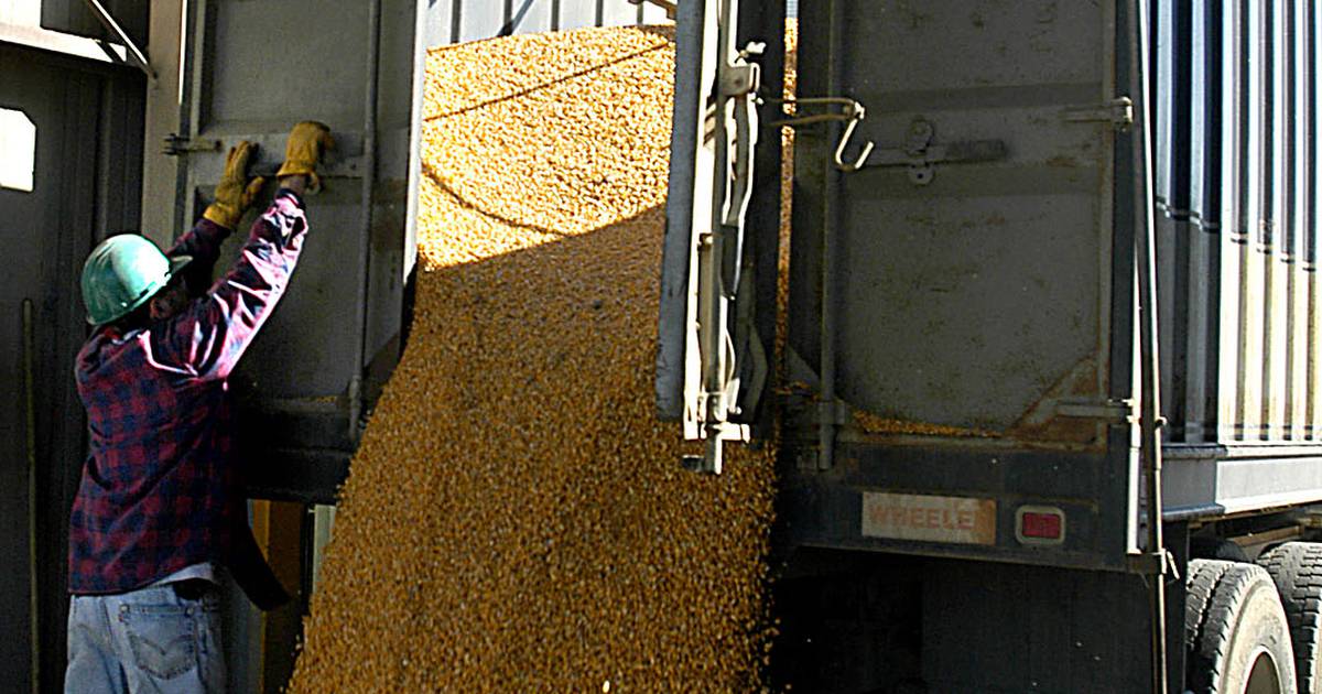 First-quarter corn shipments set new high