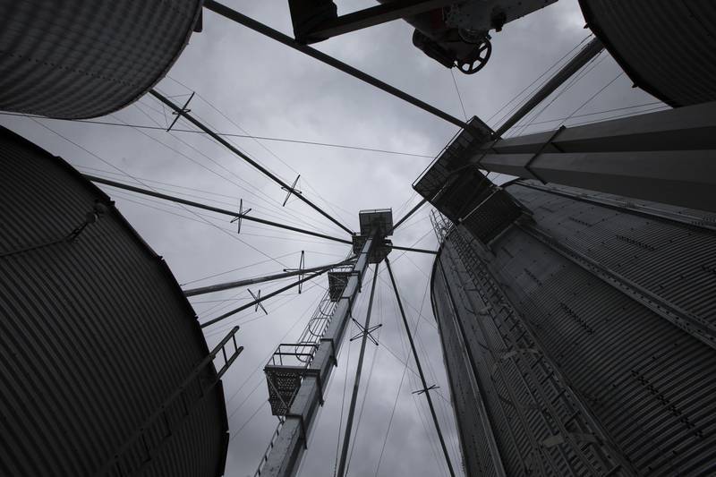 Grain storage units rise overhead at a farm near Hamilton in southwestern Ohio.