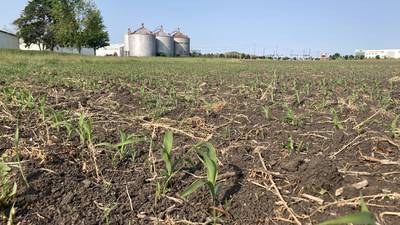 Illinois crop progress for week ending June 1