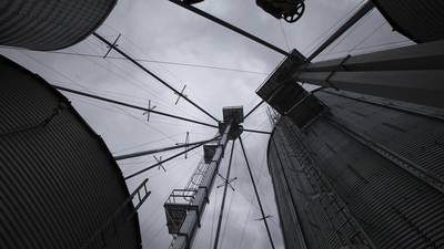 Halftime quarterly grain stocks rise