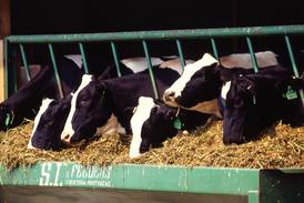 HPAI testing no longer required for dairy cattle shipments from Indiana