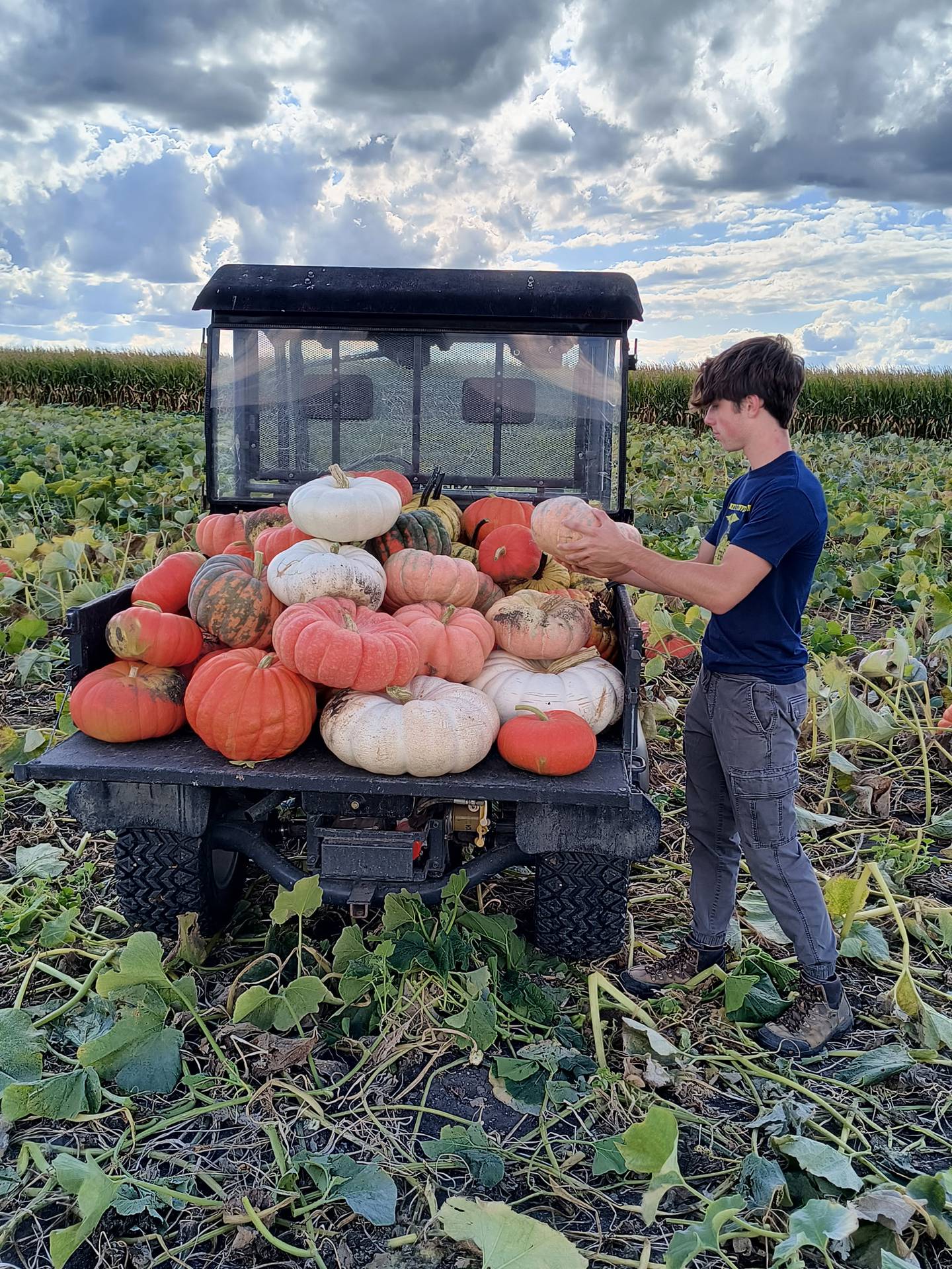 Mason Riebe loads some of his heirloom pumpkins to transport them to his roadside stand. The national winner in Vegetable Production started his FFA project by growing about 300 pumpkins and increased his production to over 3,000 pumpkins.