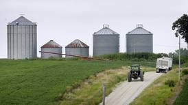 More soybeans, wheat in storage year-over-year