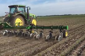 Data backs farmer-developed sealers