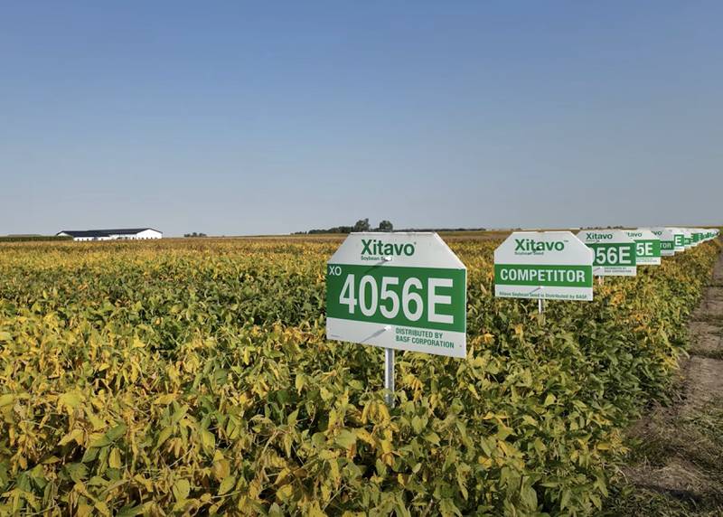 Xitavo soybean seed-exclusive varieties are backed by innovation, local testing and reliability.