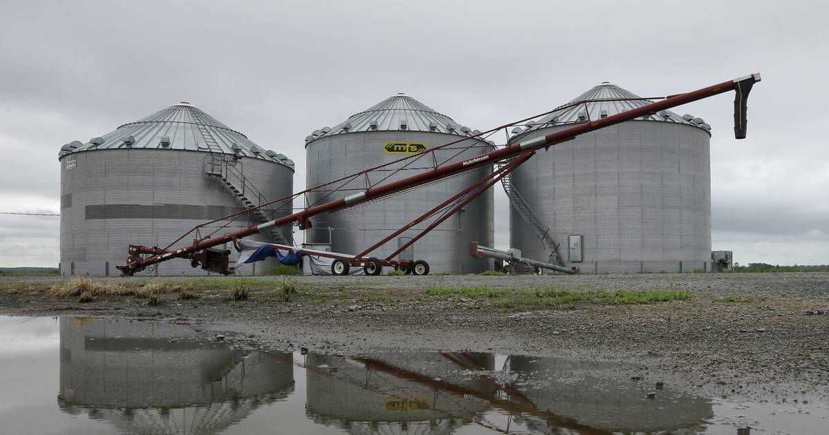 Stored crops up from year ago