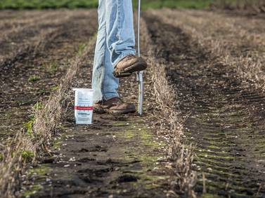 5 crop nutrition strategies to maximize ROI