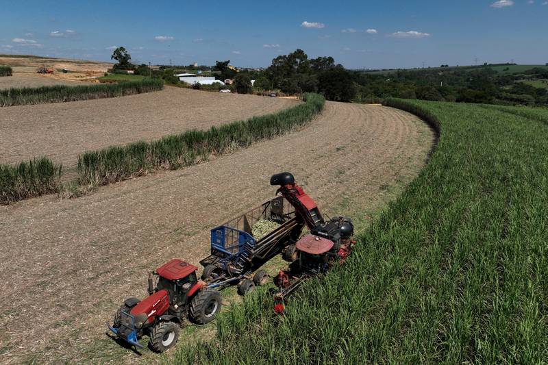 A tractor is loaded during a seedling harvest on a sugarcane plantation at Bom Retiro Farm in Artur Nogueira, Brazil.