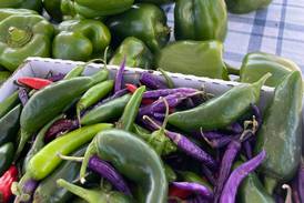 Franklin named Ultimate Farmers Market