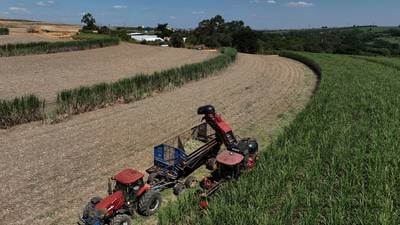 Brazil is uniquely positioned to weather rising world oil prices. Here is why