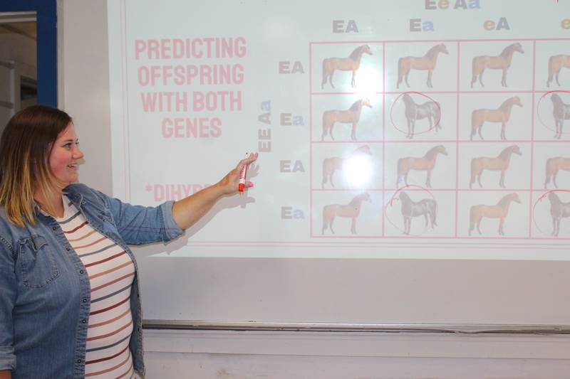 Kara Barling has taught agriculture at Heyworth High School since 2016. She teaches several different classes, including vet science that provides students the opportunity to become certified in animal CPR and first aid.