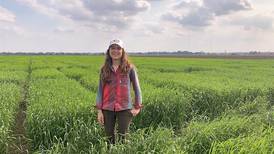 U of I Agronomy Days series returns 