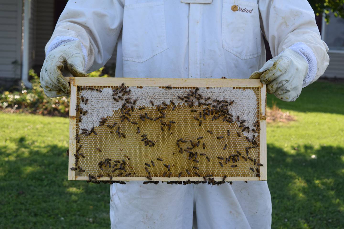 Mark Brummett is a beekeeper in Whiteland, Indiana. Over the past decade, he’s faced challenges in keeping hives alive and thriving — ranging from mites to hive damage due to pesticides. Indiana honey production for 2022 totaled 567,000 pounds, up 9% from 2021, according to the U.S. Department of Agriculture. Yields from Indiana’s 9,000 honey-producing colonies averaged 63 pounds in 2022, up 11 pounds from the previous year.