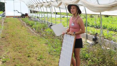 Farmers utilize small acreage to develop flower, vegetable businesses