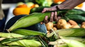 The most climate-friendly groceries might not be in the supermarket