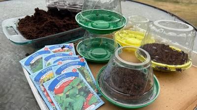 How to save money on garden gear with some creative recycling