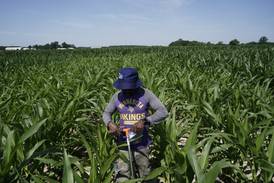 Scientists shielding farming from climate change need more public funding