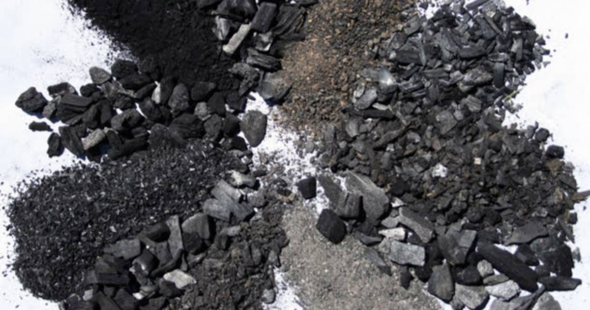 Building blocks: Biochar provides multiple benefits – AgriNews