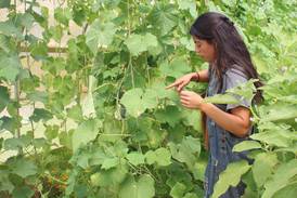 Apprenticeship sparks career for first-generation farmer