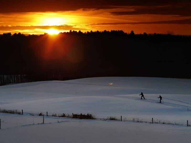 From gloom to bloom: Beat the winter blues