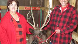 Reindeer realm: Farm delivers Christmas spirit