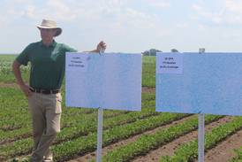 Research work evaluates various herbicide applications