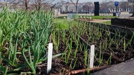 April gardening checklist