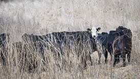 ‘Your Family… Your Farm… Our Commitment’