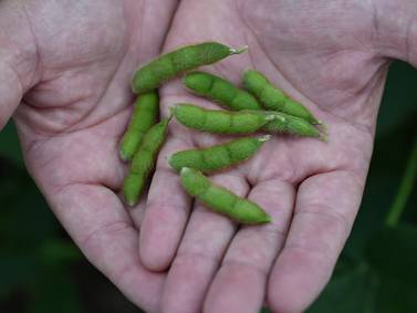 New dietary guidelines reinforce soy’s role in healthy diets