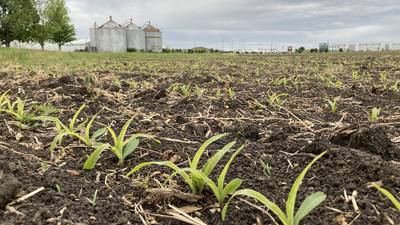 Illinois crop progress for week ending May 25